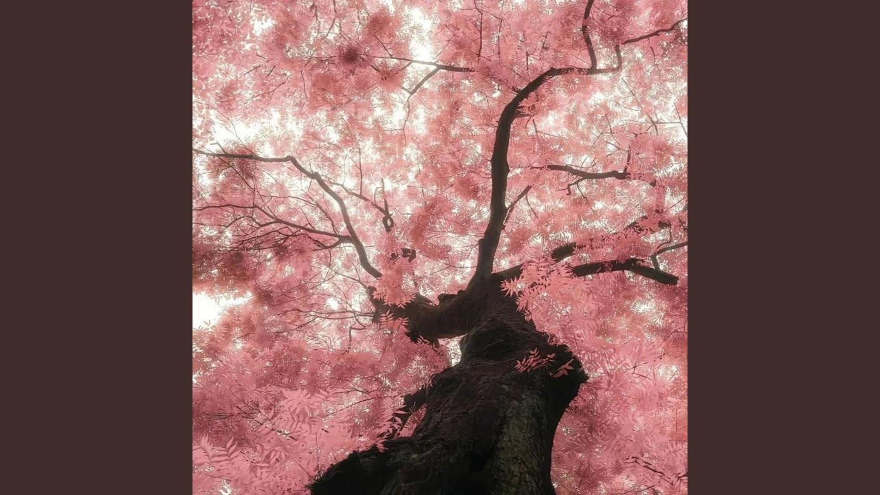 樱色归期