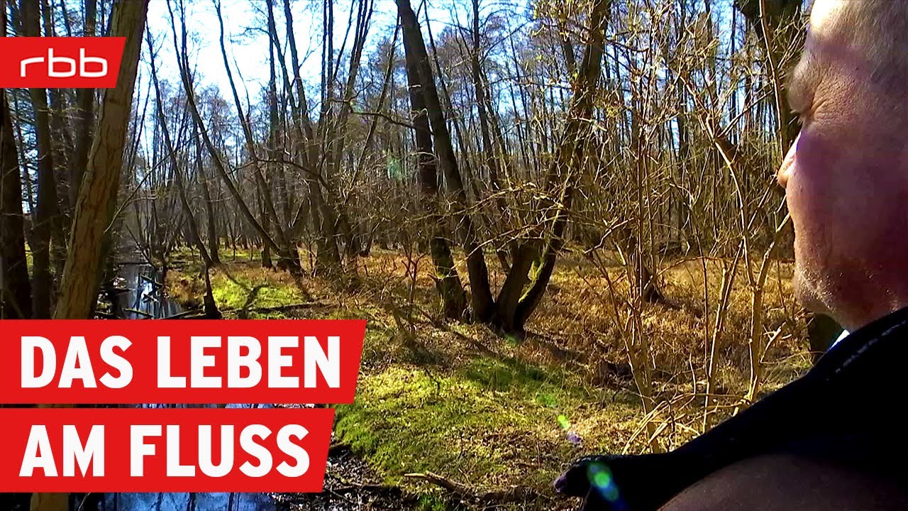 Geheimnisse kleiner Flüsse: Dosse, Nuthe & kleine Elster | Brandenburg | Reportage