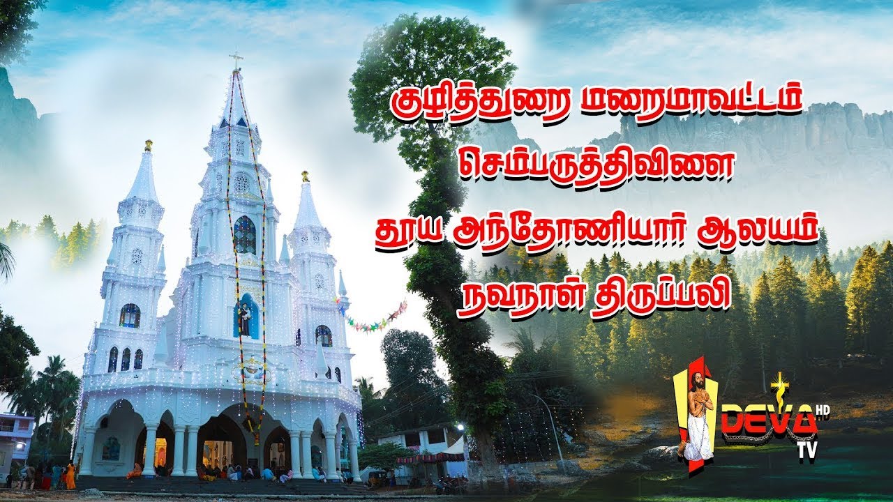 செம்பருத்திவிளை தூய அந்தோணியார் ஆலய நவநாள் சப்பரப்பவனி ஜெபமாலை திருப்பலி 17.02.2025