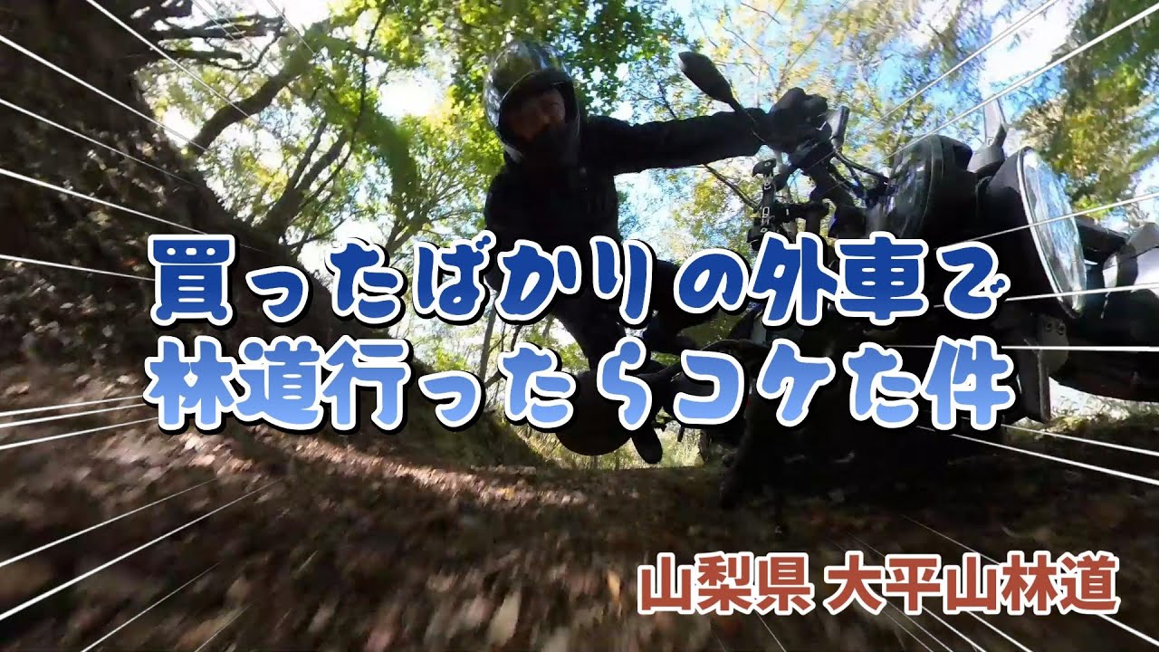 買ったばかりの外車で林道行ったら、いきなりコケた。【大平山林道】【svartpilen250】