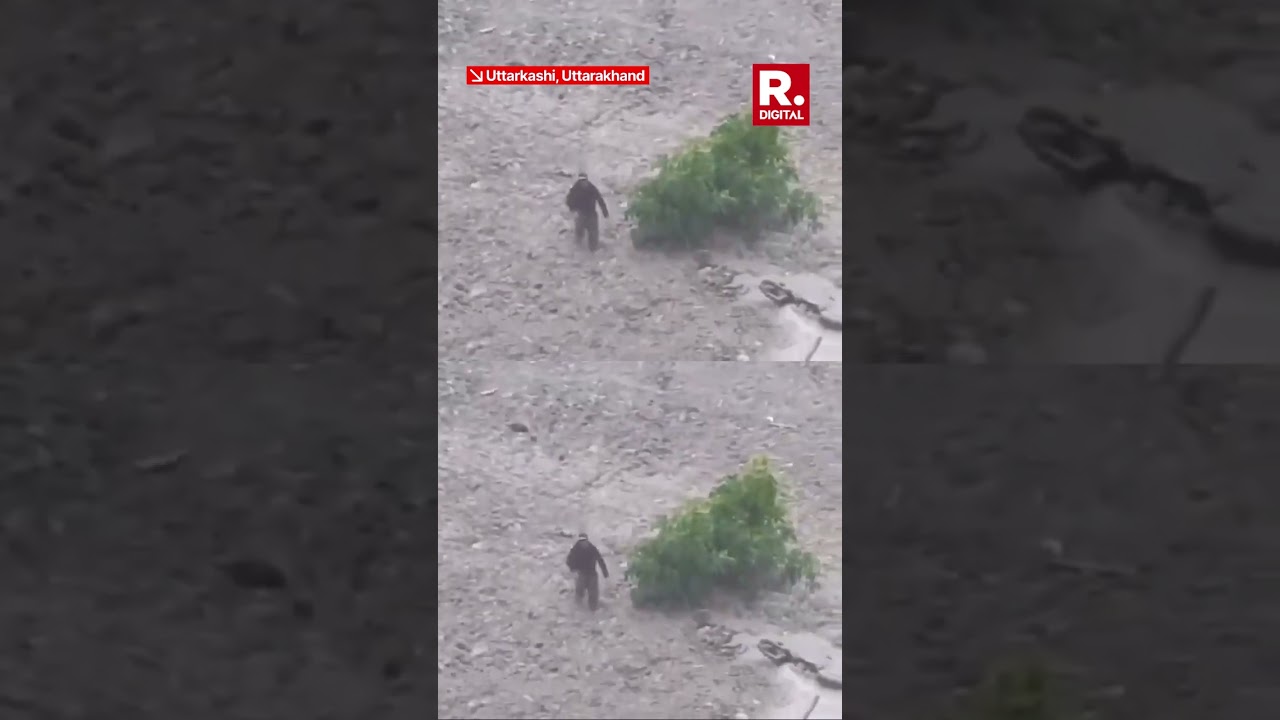 Выживший выбрался из грязи после обвала в Уттаркаши