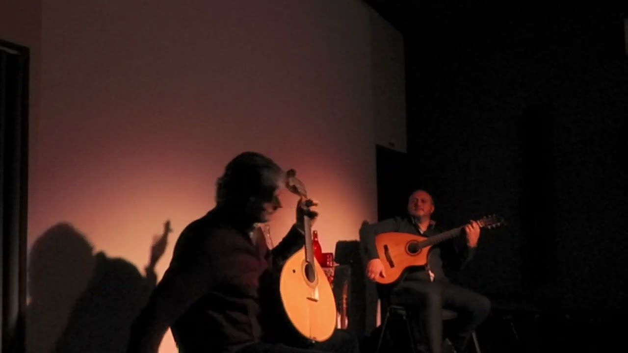 Mário Henriques, Variações sobre o fado Maggiolly (Jaime Santos) e Variações em Lá m (Artur Paredes)