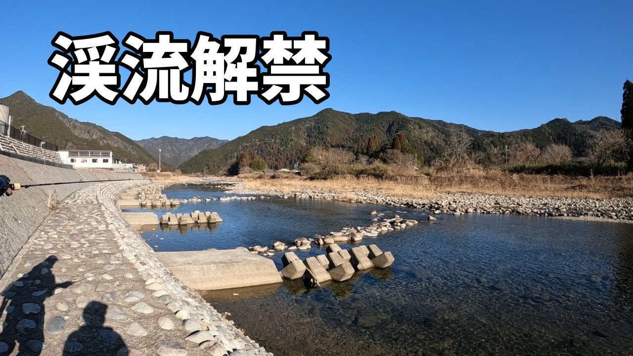 【渓流ベイトフィネス】岐阜県の和良川漁協で、2024年シーズン渓流解禁！