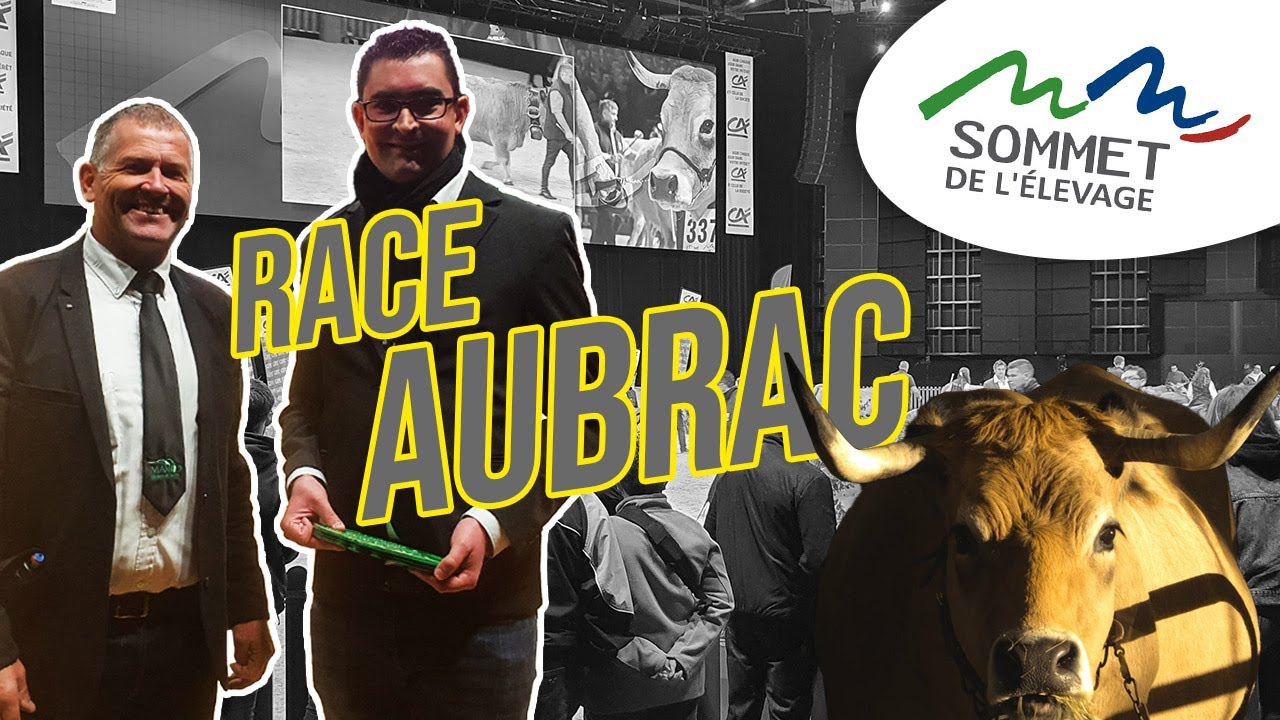 Sommet de l'Élevage 2021 : La race AUBRAC à l'honneur 🤩