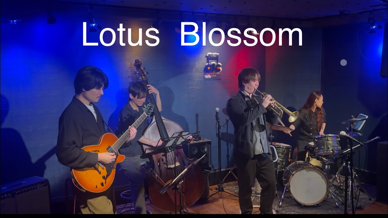 lotus brossm