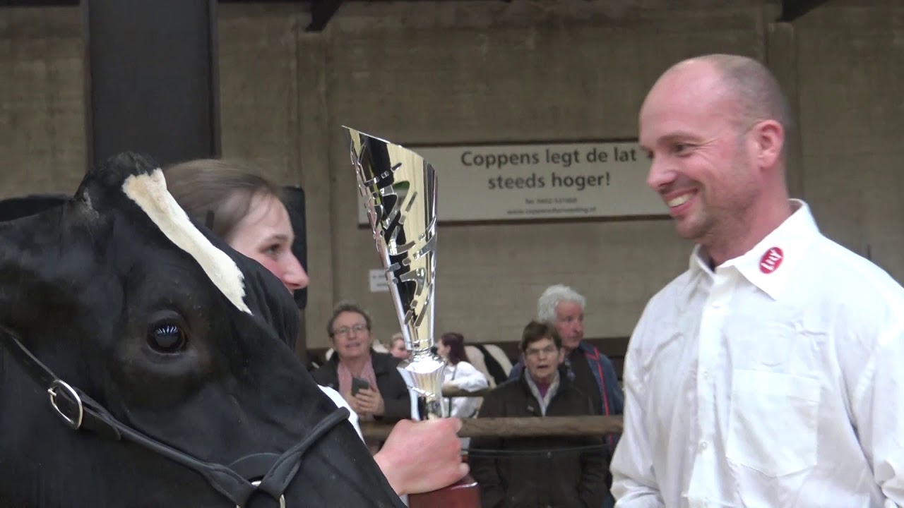 Zuid Nederlandse wintershow Heusden Asten 2019 Zwartbont