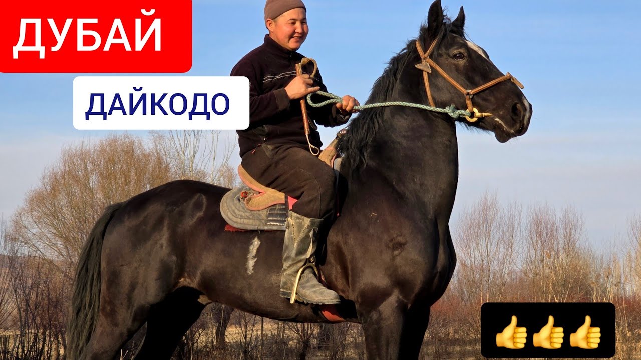 ПАЙ ПАЙ ПАЙ  ДУБАЙ  САТУУГА ЧЫКТЫ 