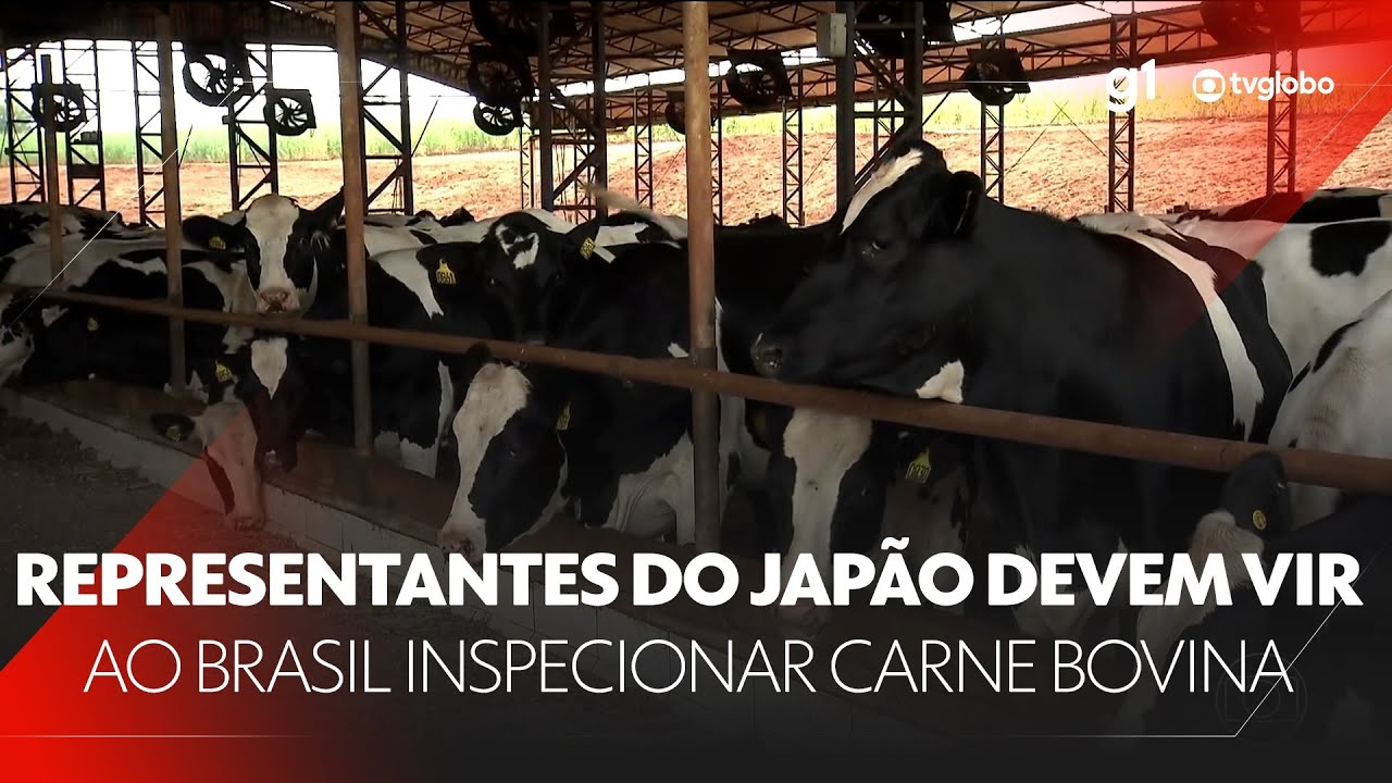 Representantes do Japão virão ao Brasil inspecionar produção de carne bovina #g1 #JN