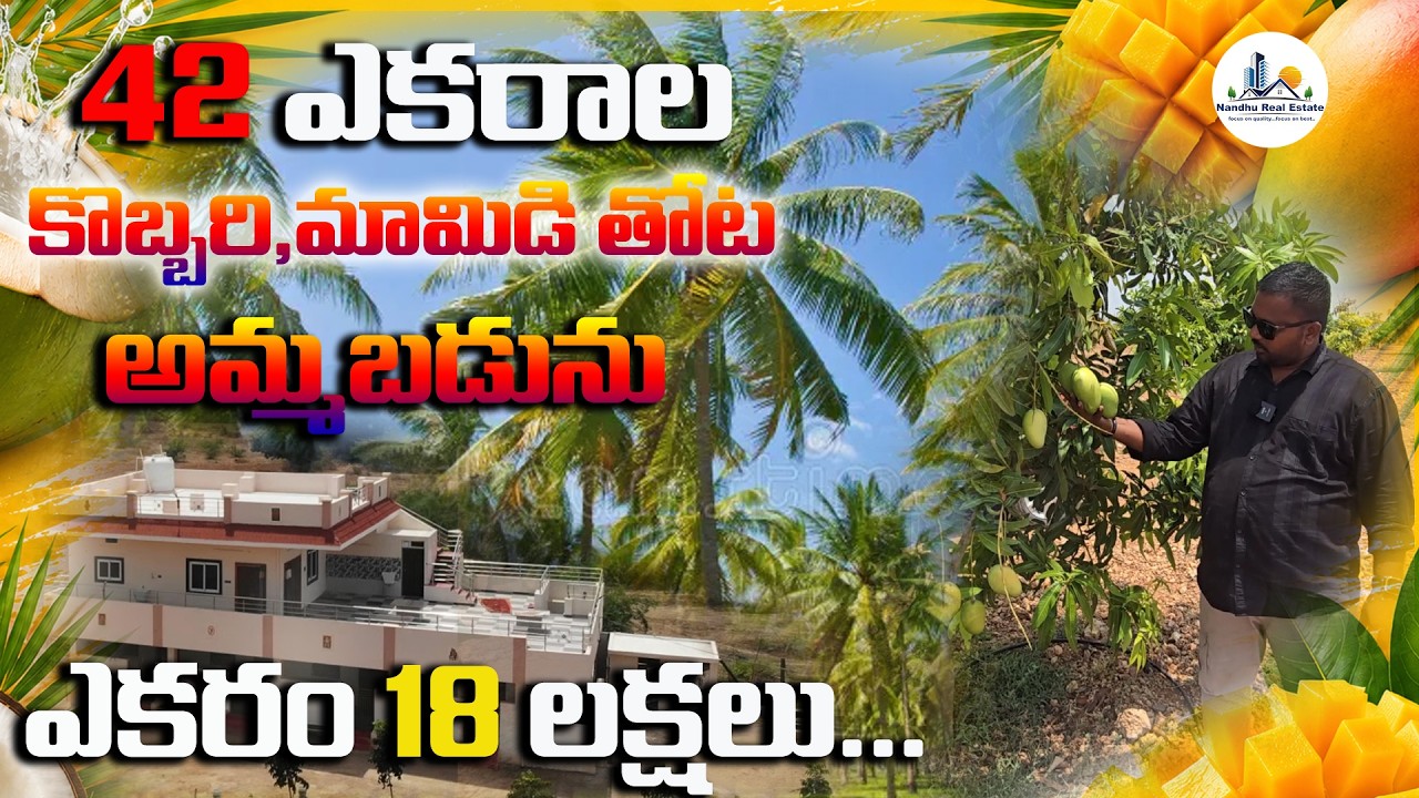 42 ACRES  COCONUT AND MANGO FRAME LAND SALE || YERRAGONDA PALRM | HYD 260 KM | @NandhuRealaEstate
