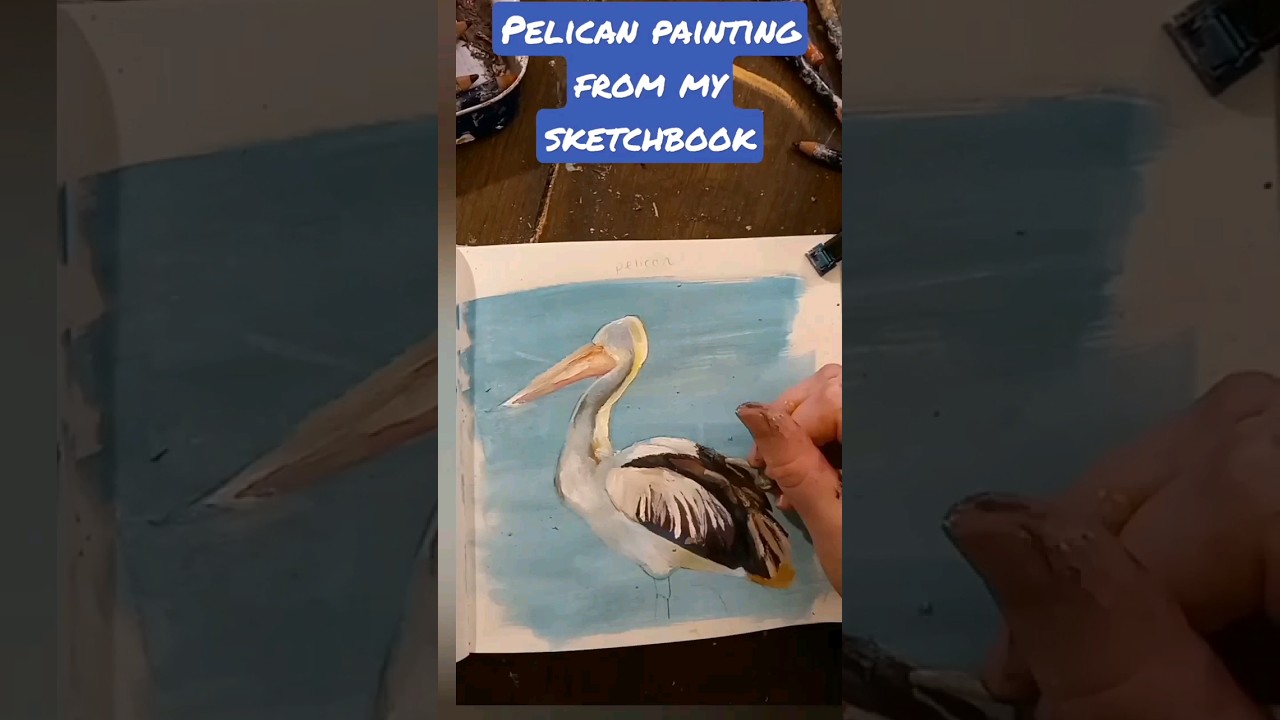 paint a pelican with me 