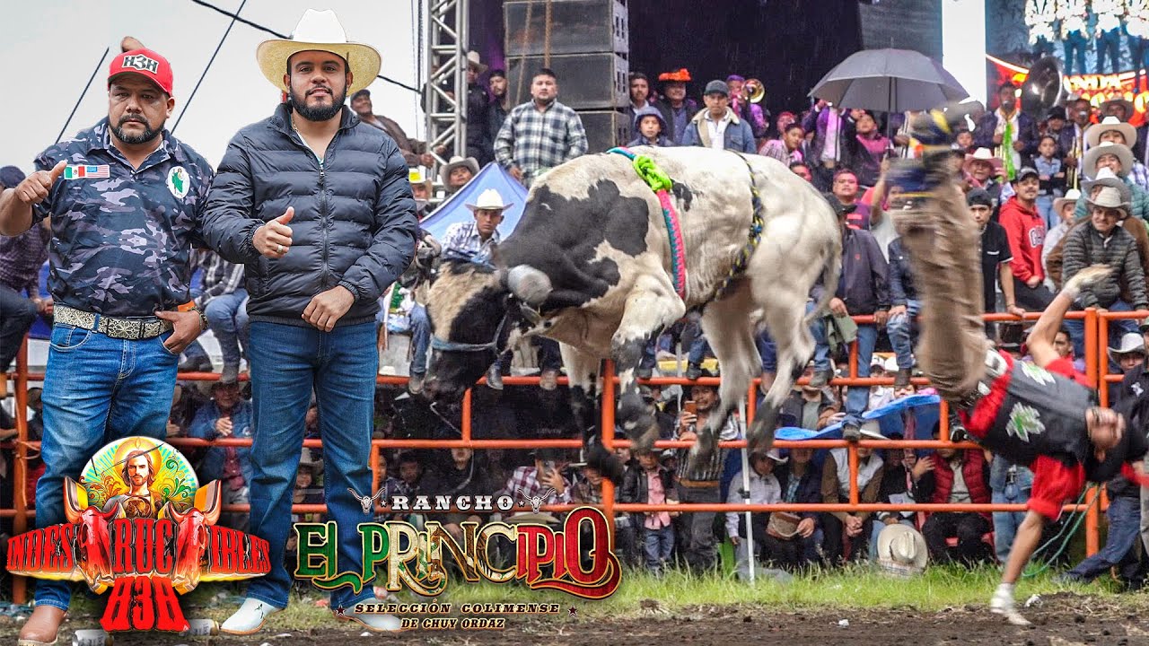 ¡SE JUNTORAN PURO BUENO EN ESTE JARIPEO! EL PRINCIPIO Y H3H PARA PURO JINETE DE RESPETO