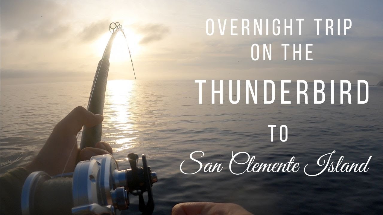 Thunderbird Overnight to San Clemente Island for Yellowtail