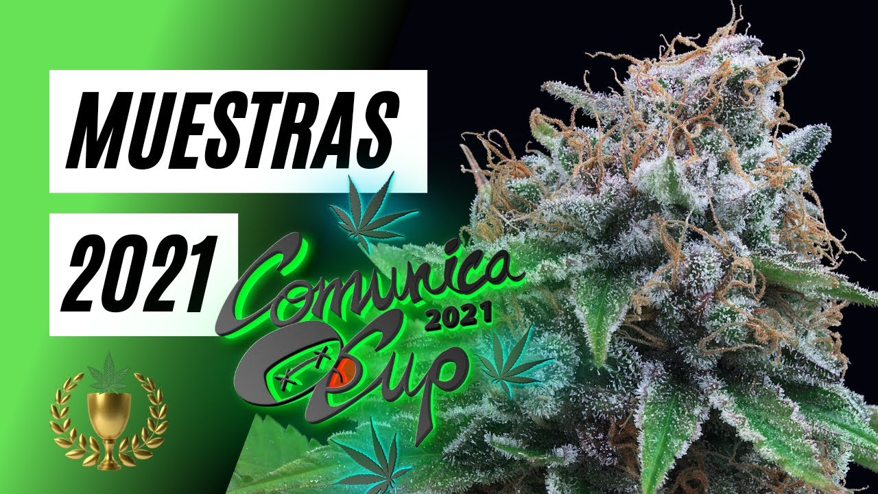 LAS MUESTRAS DE LA COMUNICA CUP 2021