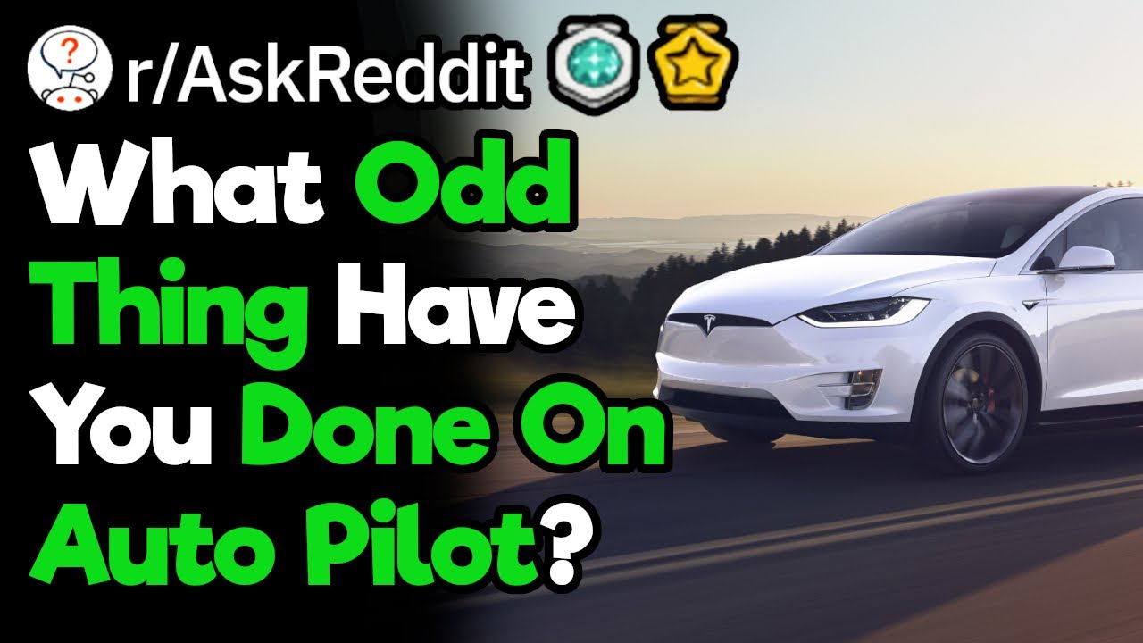 What's Something Funny You Accidentally Did On Auto Pilot? (r/AskReddit)