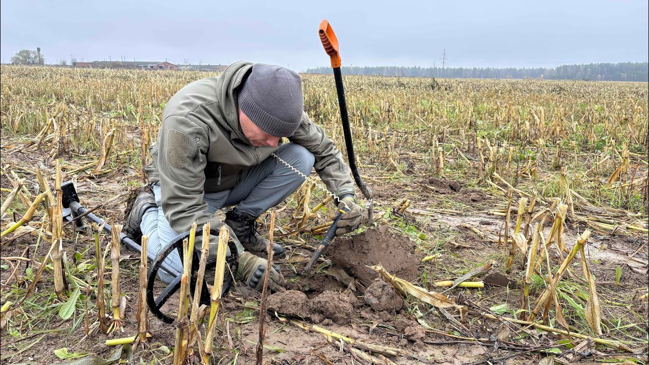 Забытая ТАЙНА колхозного поля. Что скрывала кукуруза полвека?