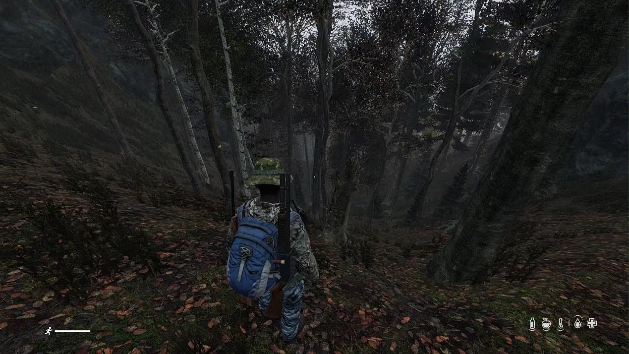 Train surprise #dayz #dayzstandalone #ps5 
