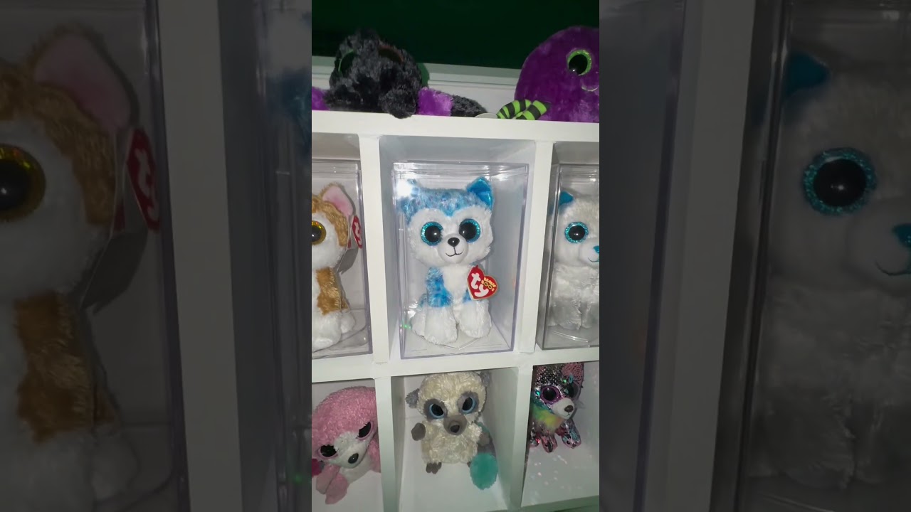 Beanie Boo Collector! ✨