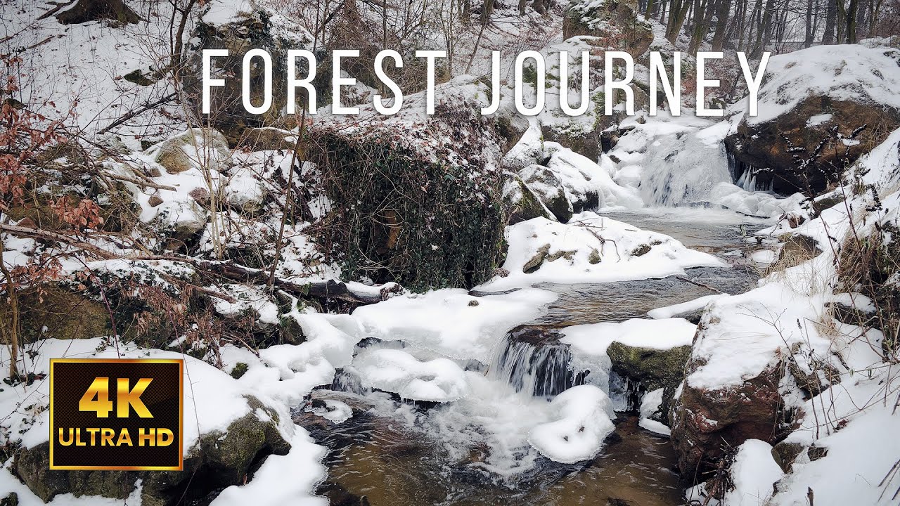 ❄️ Winter Stream Journey | Rocky Icy Brook Ambience (Natural White Noise) | 1 Hour 4K