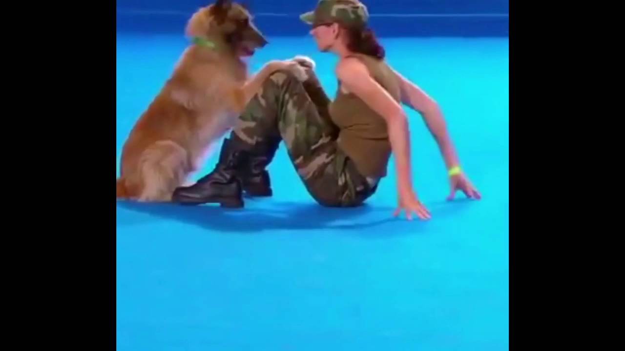 A Dog Performs CPR !!