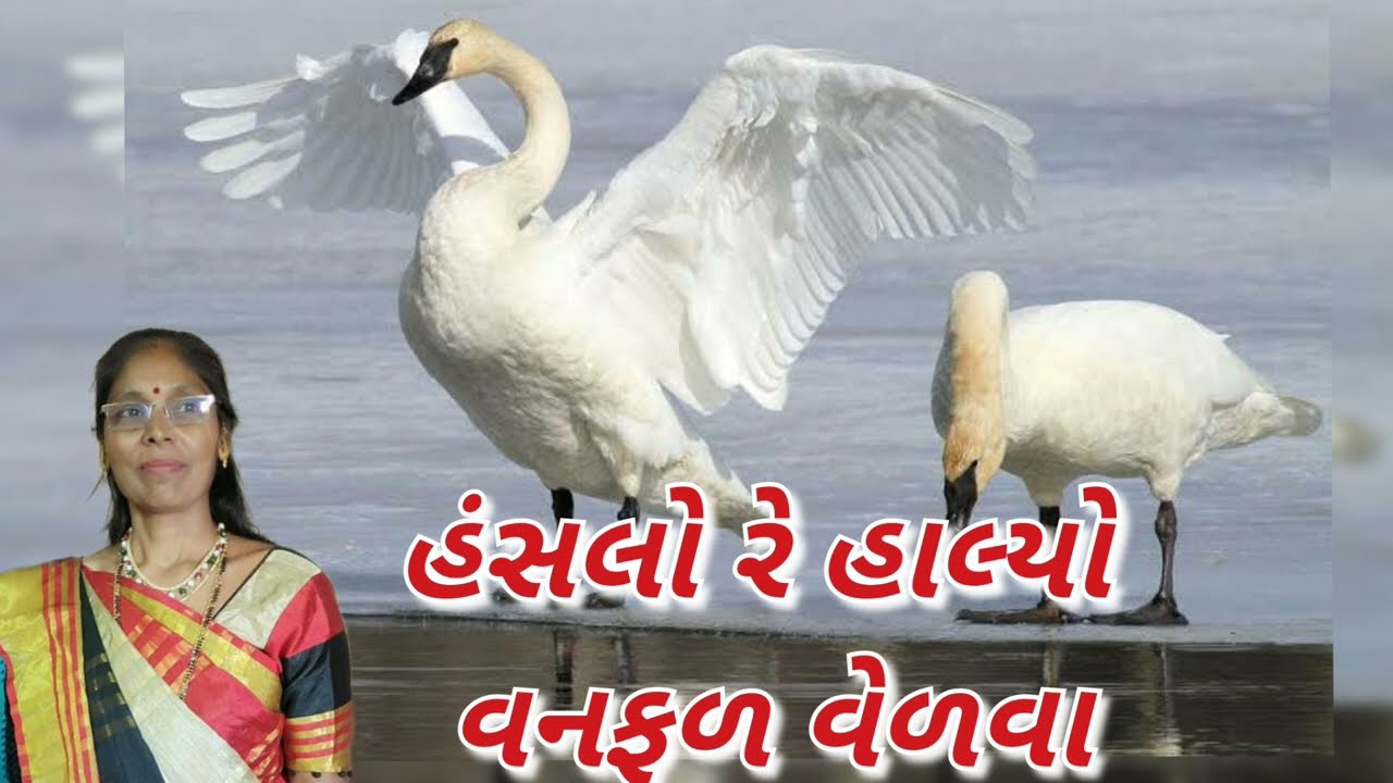 હંસલો હાલ્યો વનફળ વેળવા (નીચે લખેલું છે)| Hanslo re halyo vanfal velva  - New Gujarati kirtan 2023