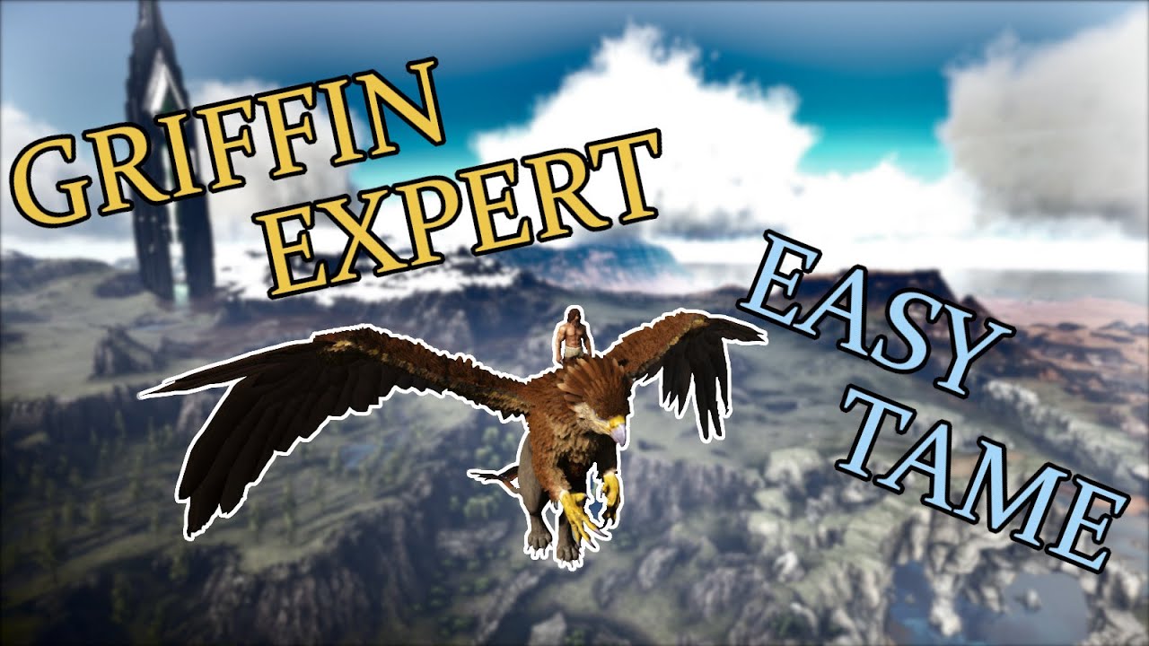 Griffins | Everything You NEED To Know | EASY TAME