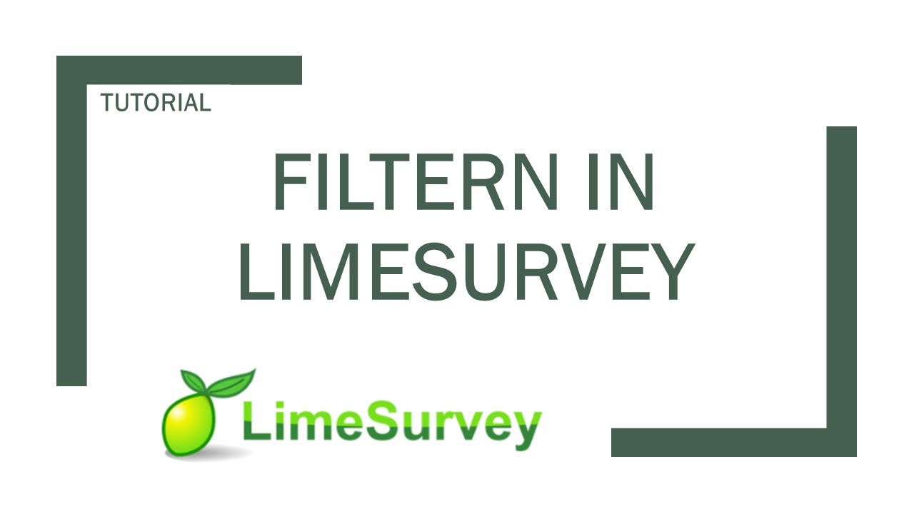 Filtern in Limesurvey: Zwei Möglichkeiten im Vergleich (Bedingungsdesigner vs. Relevanzgleichungen)