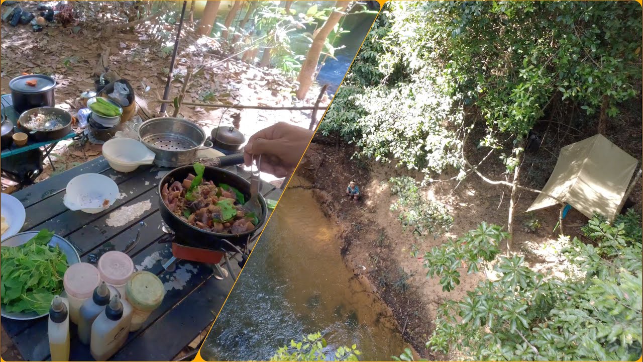 ឆាក្តៅអន្ទង់ ភ្លាត្រីចង្វា តាមអូរក្នុងព្រៃ - Camping and Cooking nature food  13/Dec/2025 - Ep371.3
