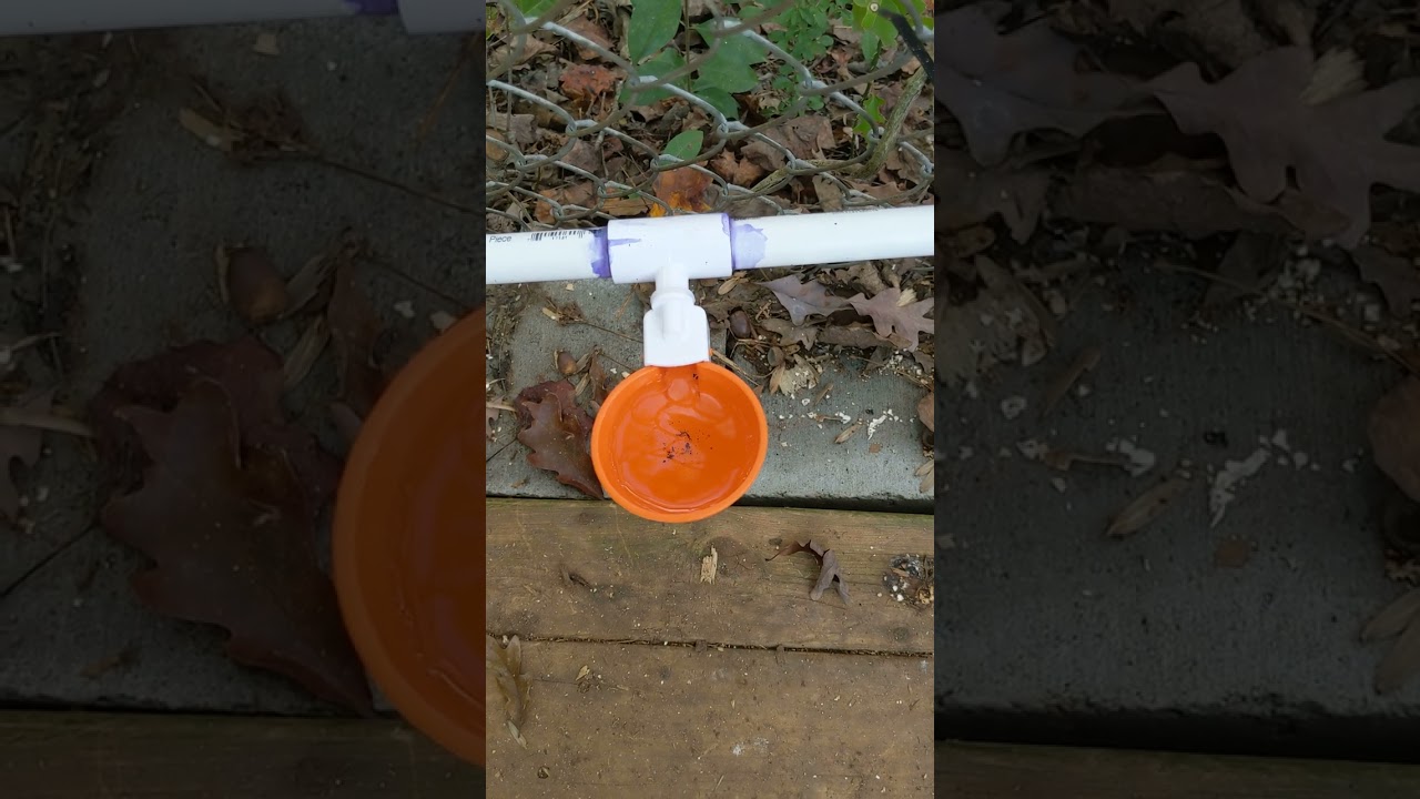 Lil Clucker: Replaced the Cups on the Chicken Watering System