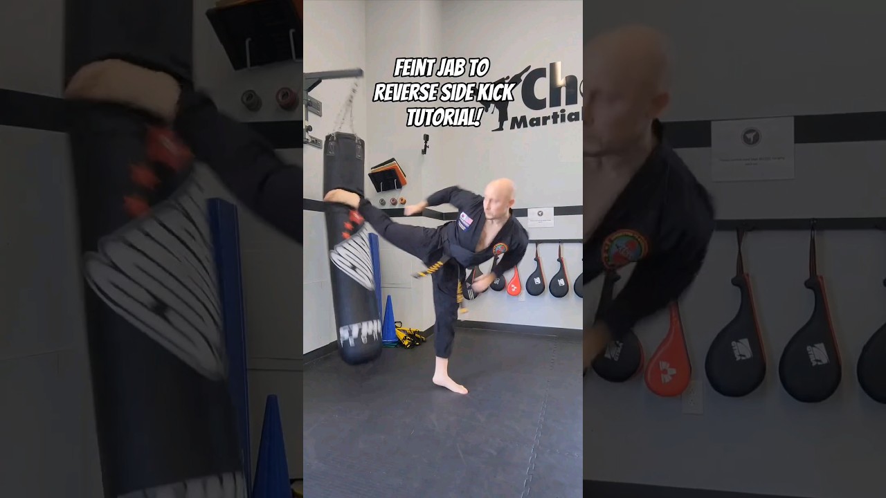 Feint Jab to Reverse Side Kick Tutorial! #Taekwondo #karate #kickboxing #muaythai #mma #shorts