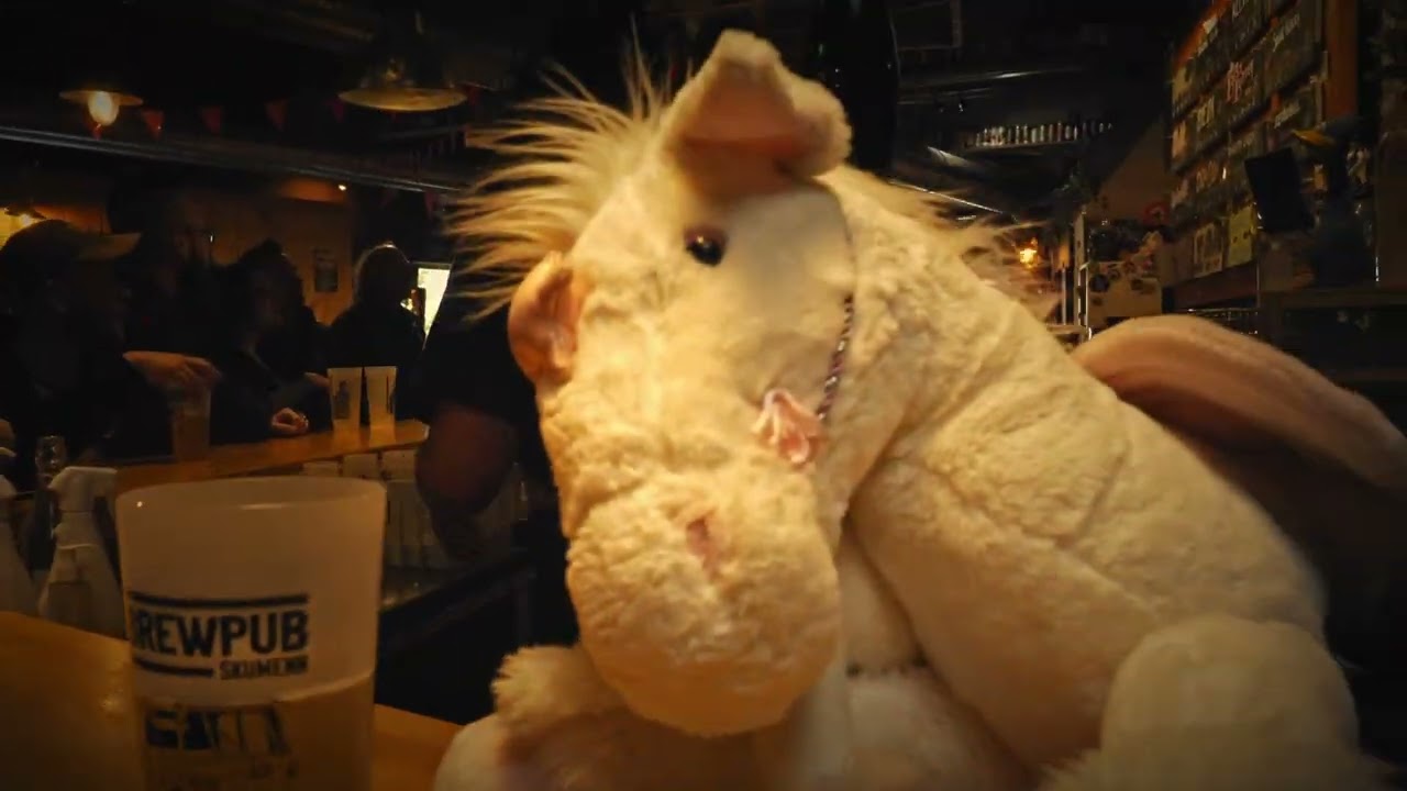 Licorne Fest 2025 • Aftermovie