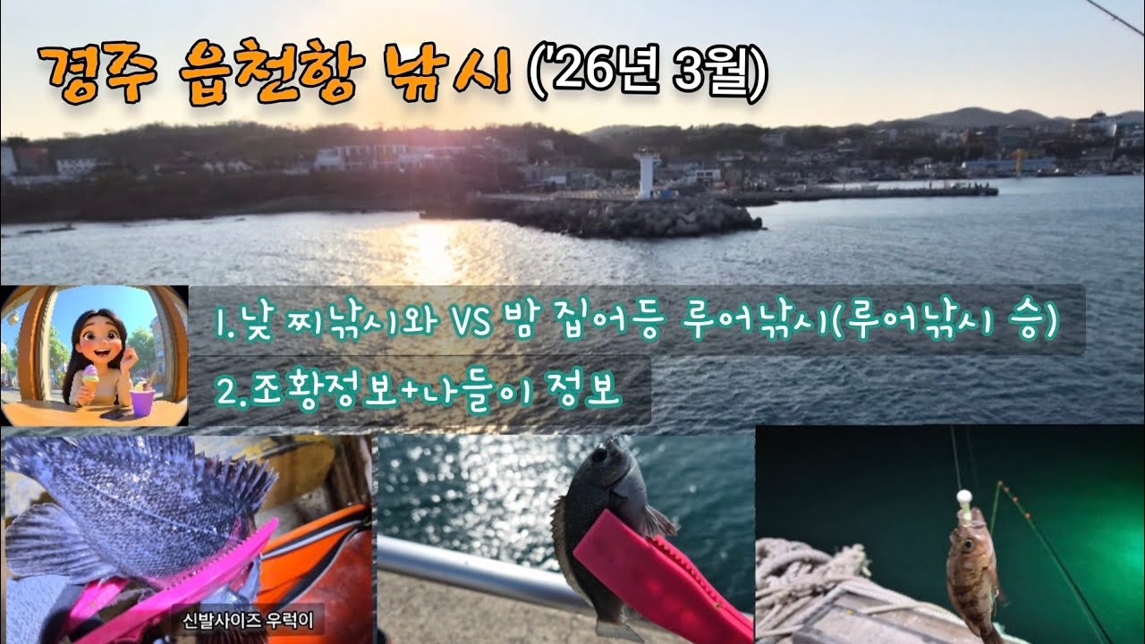 경주 읍천항 낚시 ('26년 3월)