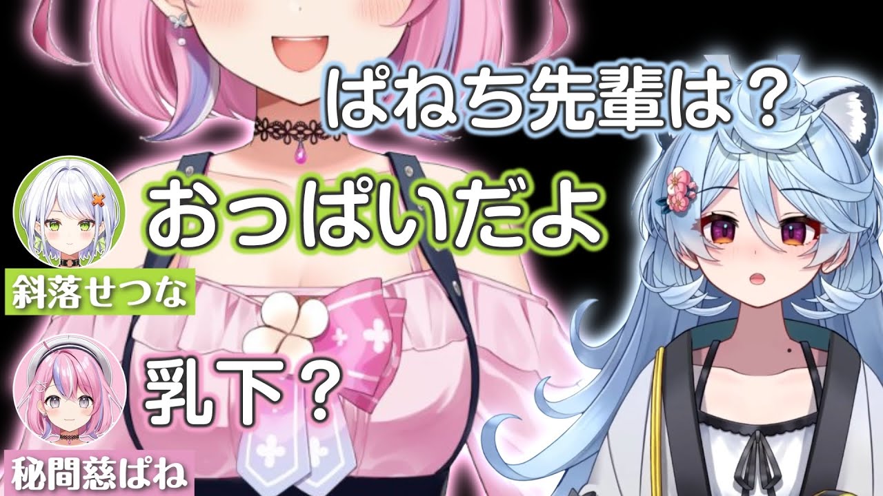 南半球の話で盛り上がるせつぱねたぬ【綿貫ねぐせ/斜落せつな/秘間慈ぱね/ぶいぱい切り抜き】