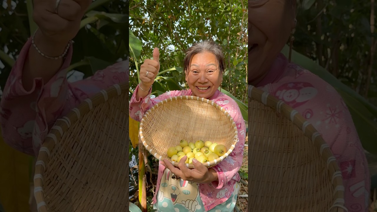 Have you tried a rose apple before? #harvest #roseapple #garden #fruit #exoticfruit #wholesome