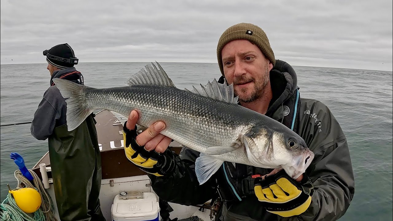 LURE FISHING FOR BASS | OFFSHORE REEF FISHING