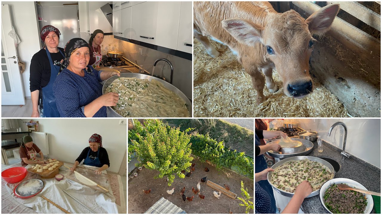 NAZMİYE ABLAMA SU BÖREĞİ YAPTIK❗️DOLU DOLU VLOG