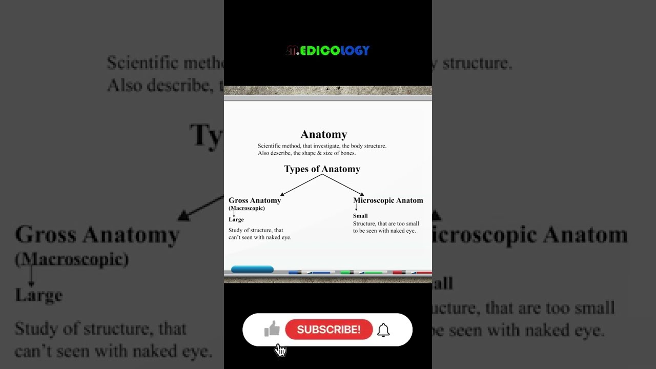 Overview of anatomy & its types | Short video #02