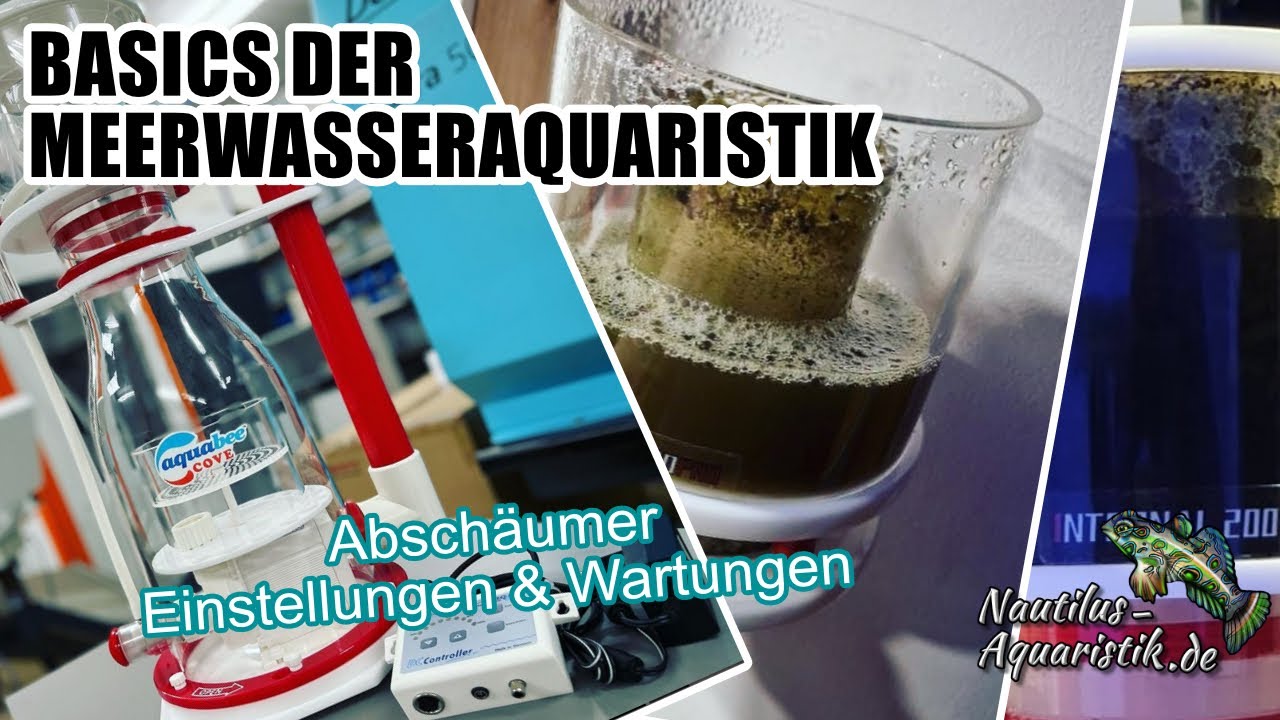 Absch&auml;umer - Einstellungen & Wartung - Wie geht's richtig?