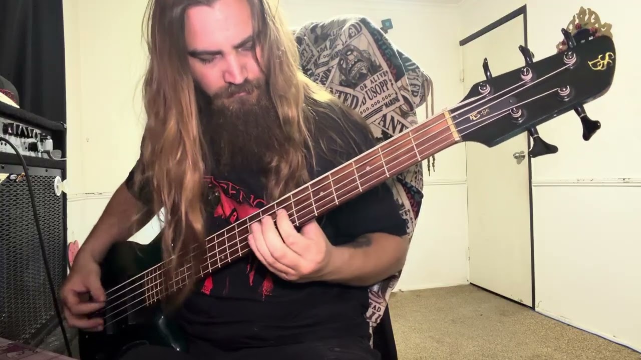 Ashnikko - Tantrum // Bass Cover