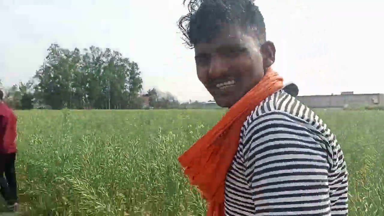 Vlogar 