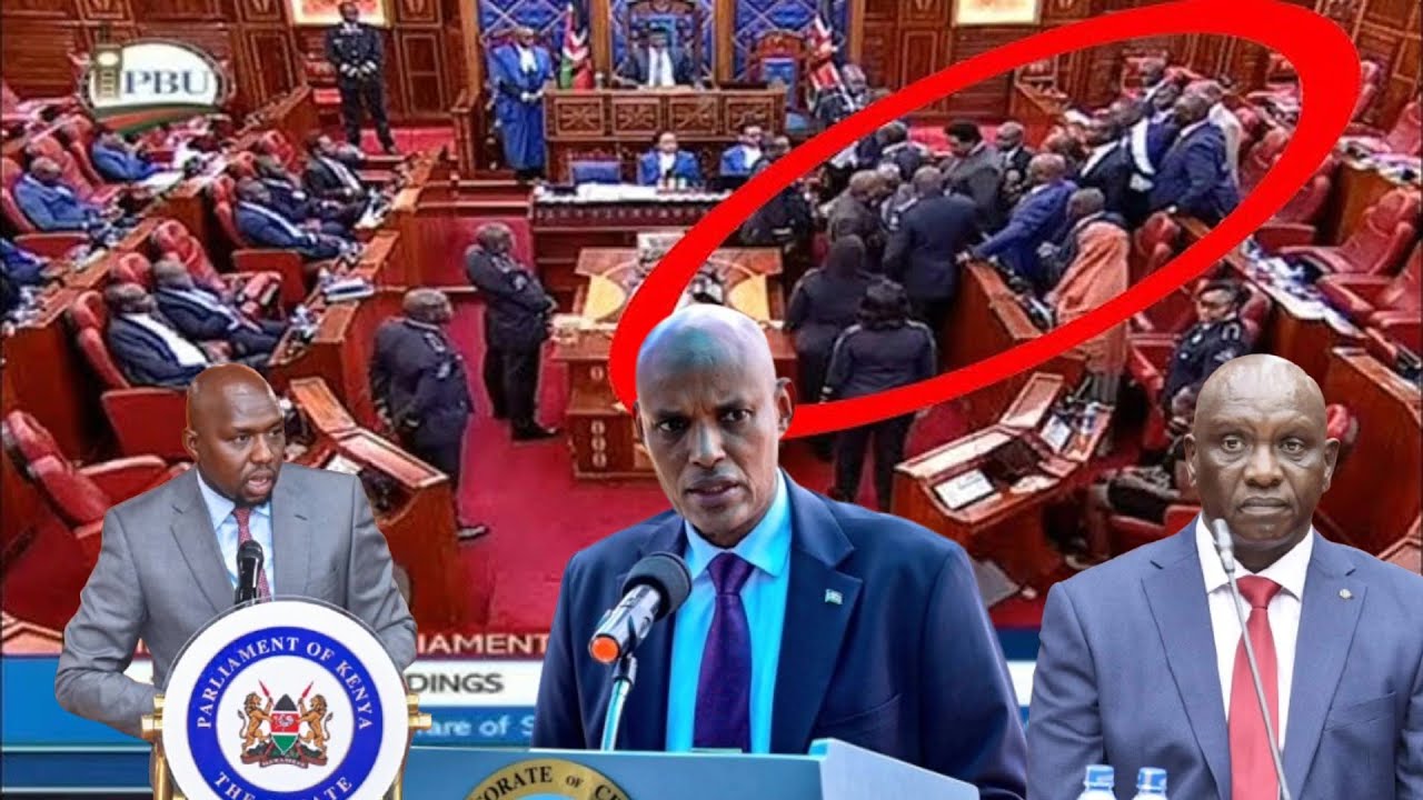 LIVE : FIREWORKS IN SENATE AS ELIUD LANGAT APPEARS OVER ALBERT OJWANG`S DEATH IN POLICE CUSTODY!!