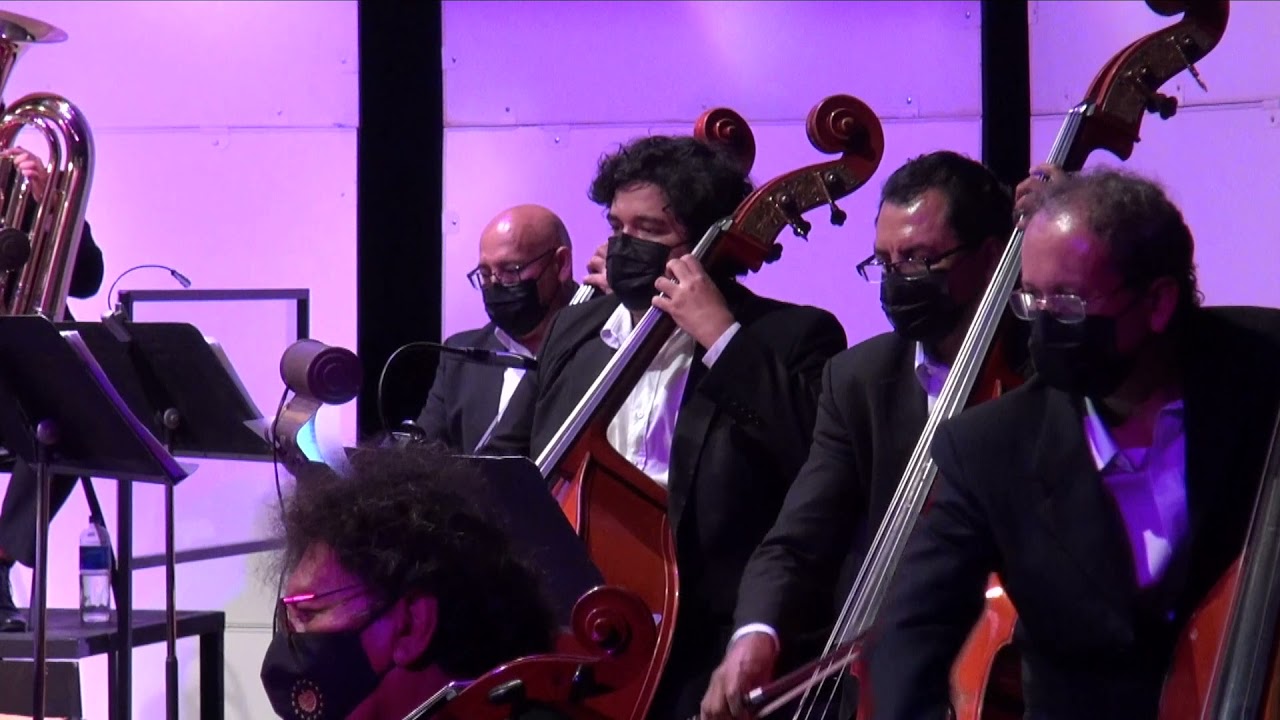 A fifth of Beethoven / Concierto Pop de la OSES