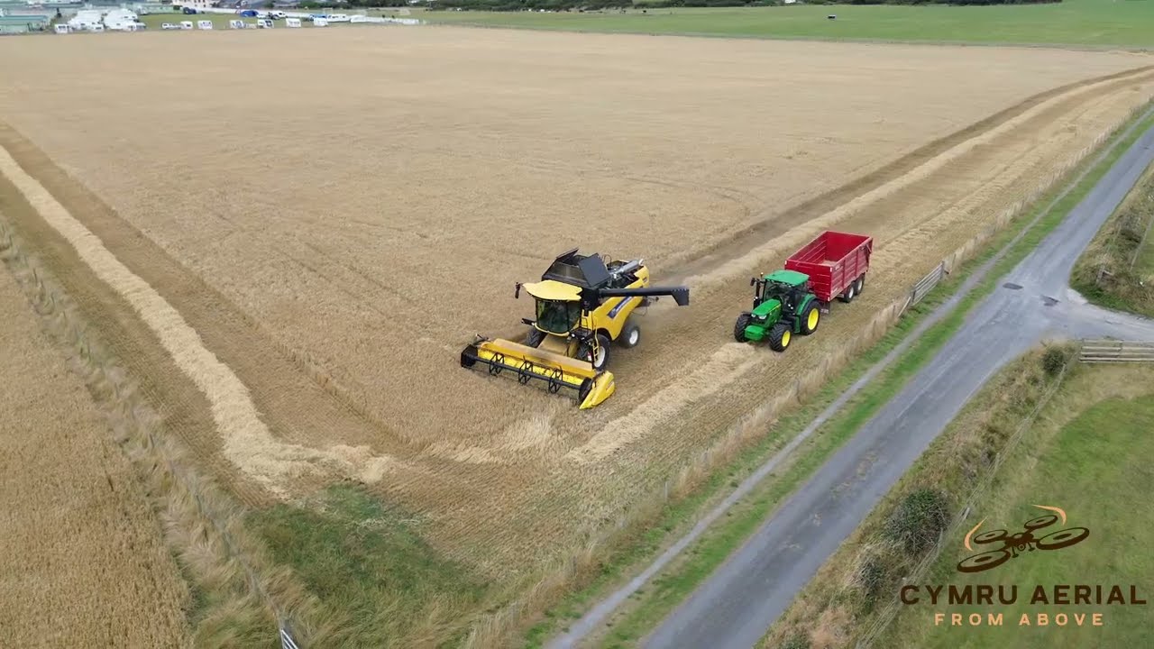 Barley Harvest at Morfa Farm | New Holland CX5 in Action!