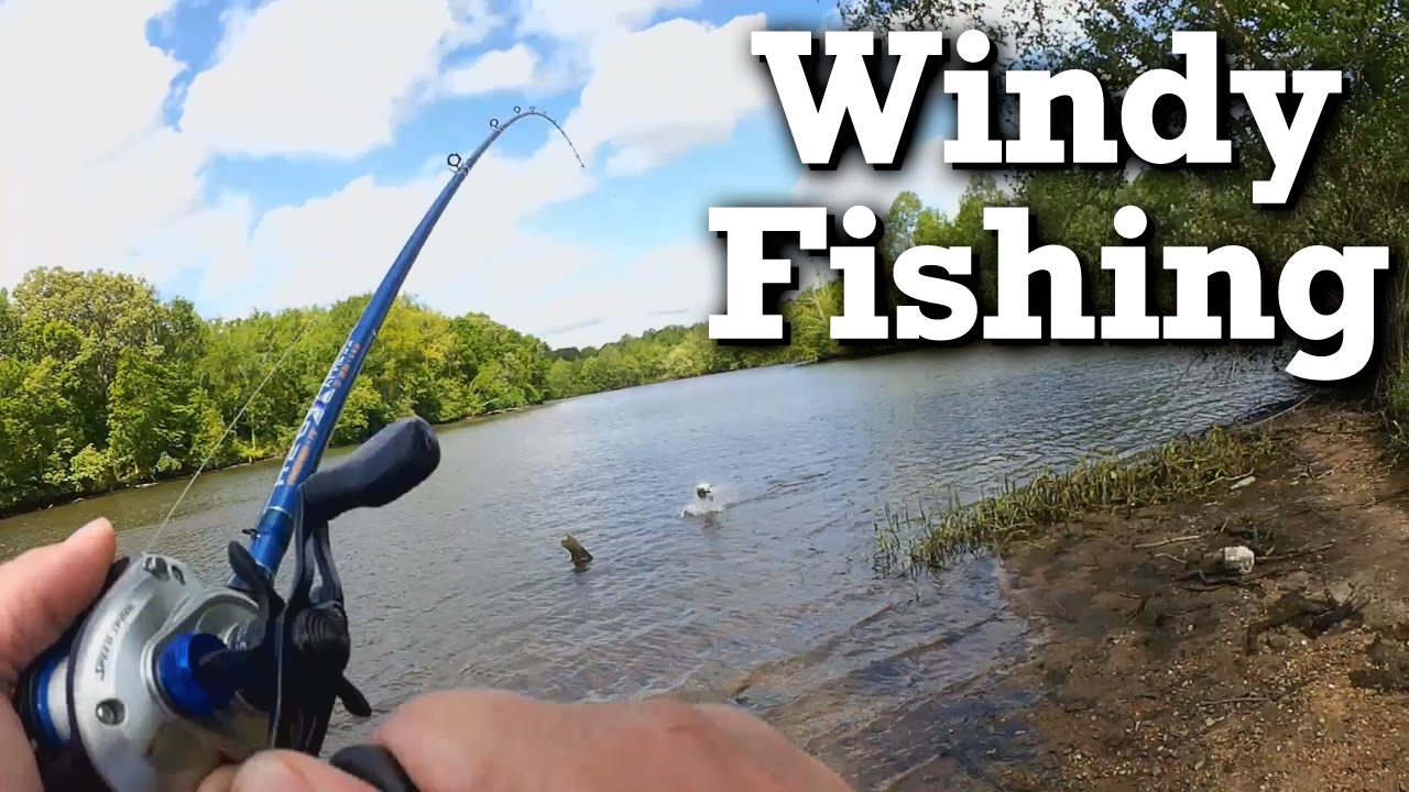 Bank Fishing in the Wind - YUM Craw in Black and Blue