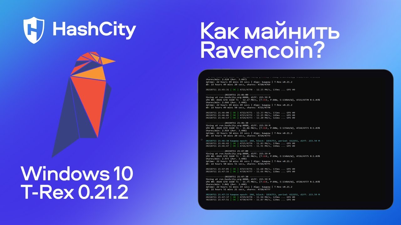 Майнинг Ravencoin на ноутбуке с T-Rex - настройка и доходность майнинга рейвенкоин RVN