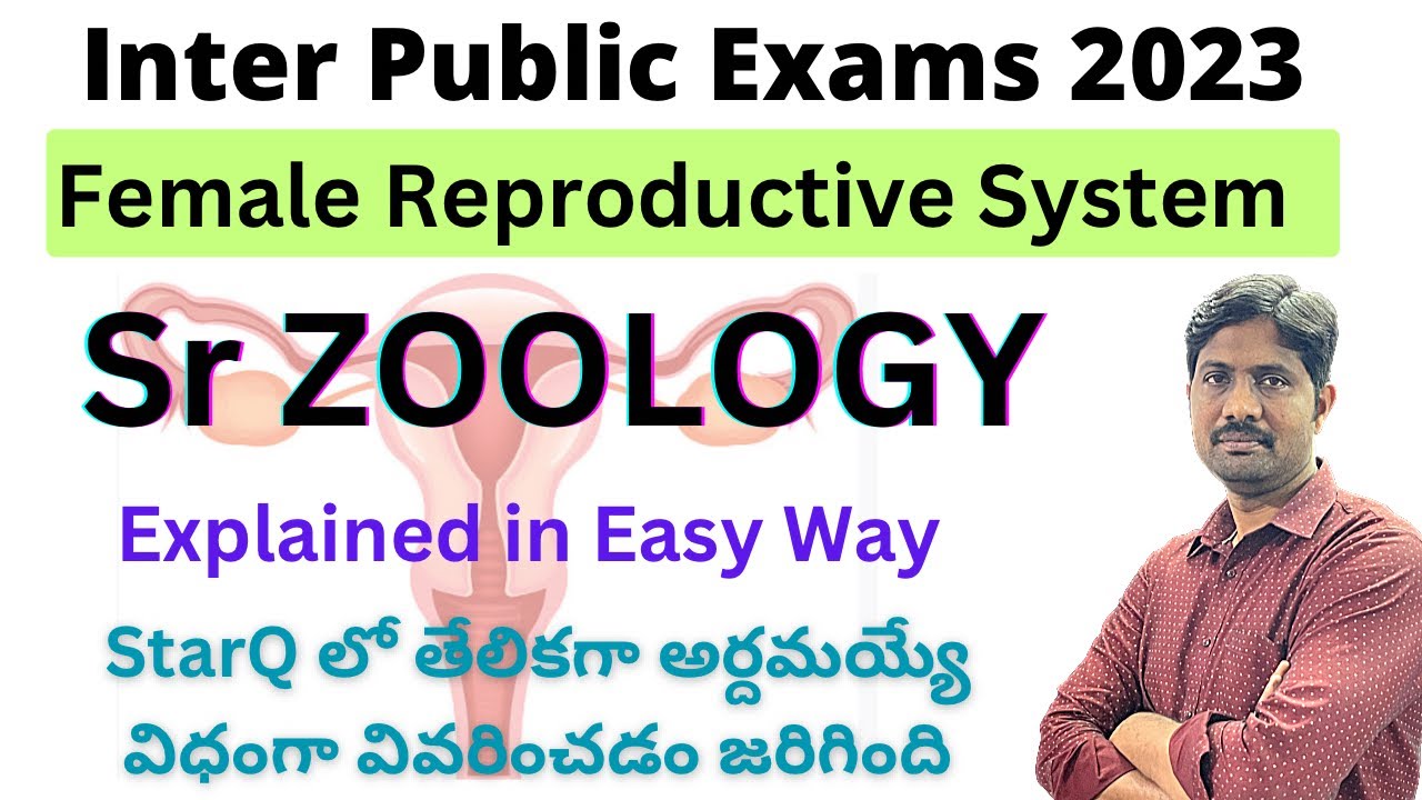 Female Reproductive System Explained in Simple Way || Inter Second Year Zoology Important Question