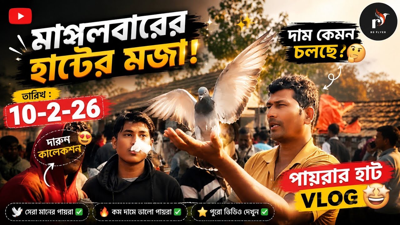 বেলডাঙ্গা হাটে কবুতর প্রচুর দাম Pigeons are very expensive at Beldanga market