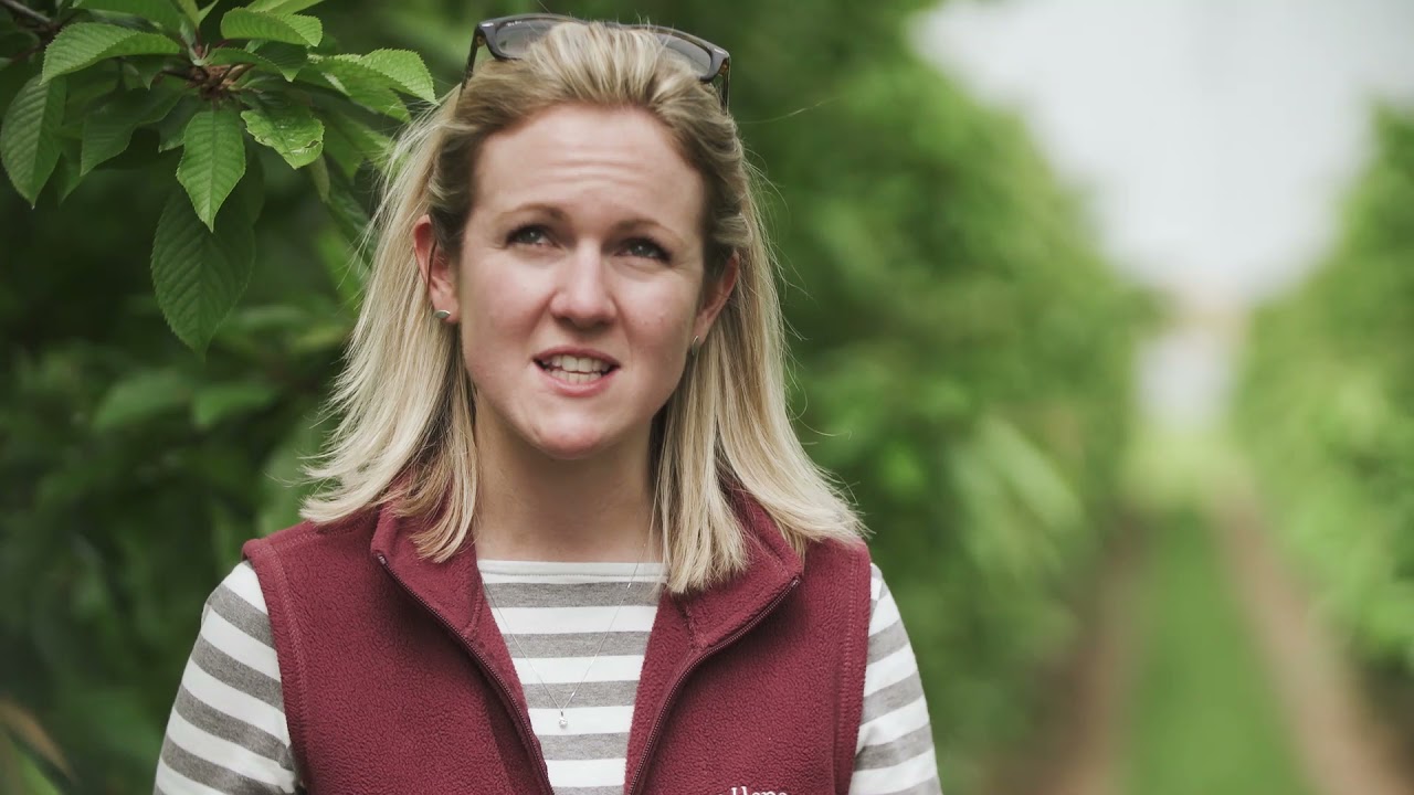 Haygrove Customer Case Study at Lower Hope Fruit Farm, UK
