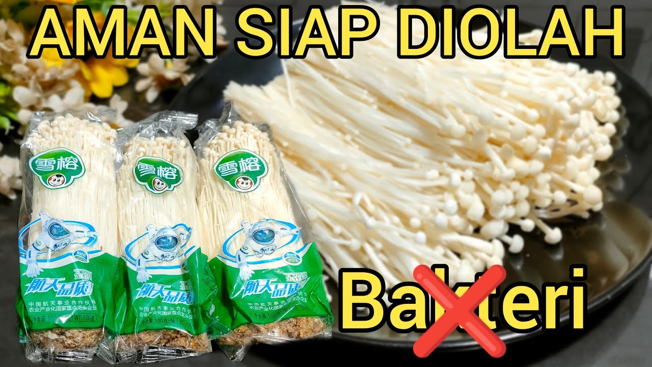 TIPS CARA MEMBERSIHKAN JAMUR ENOKI AGAR AMAN DI MASAK DAN DI KONSUMSI || Enoki Mushroom JAMUR TAUGE