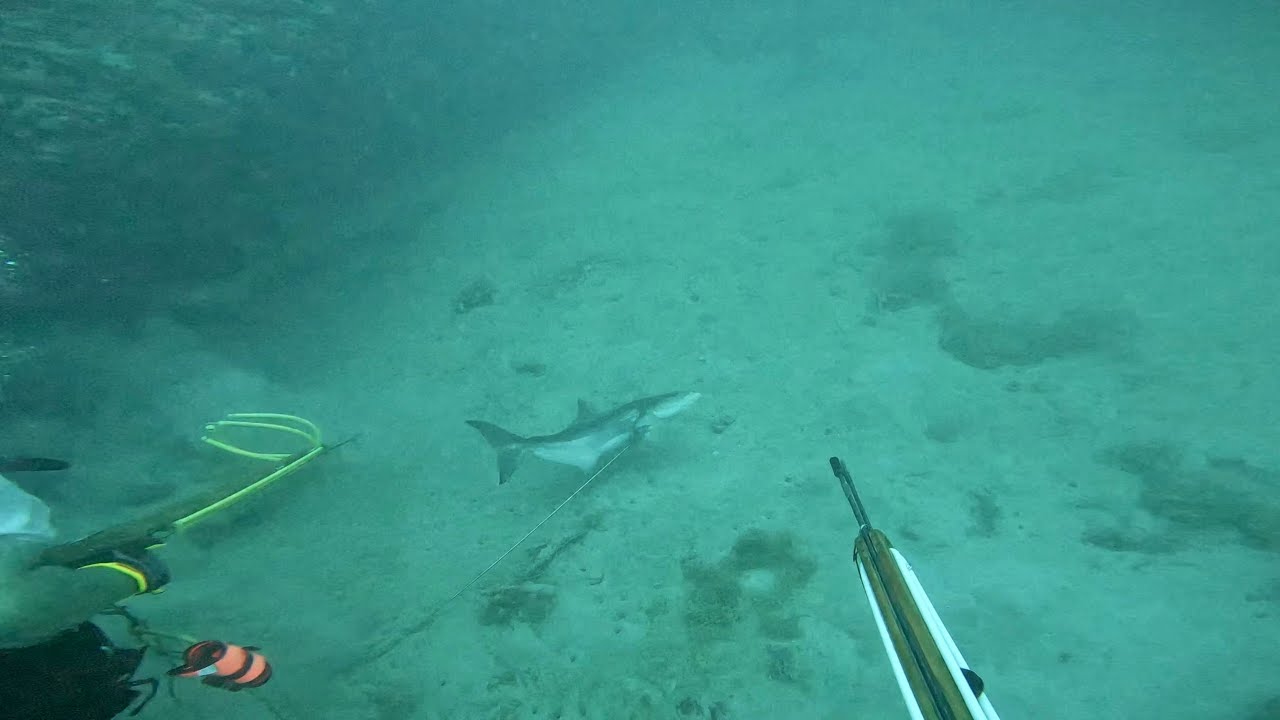 Diving a sinkhole 160’ off Sarasota