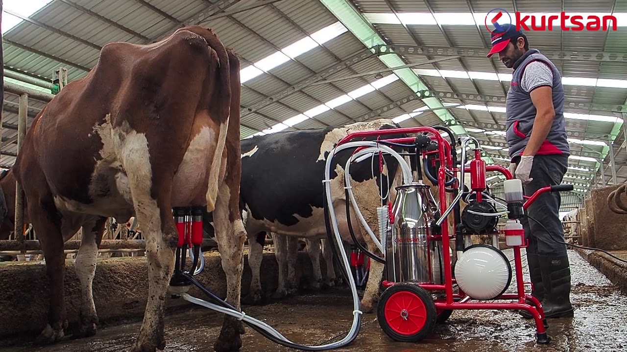 Kurtsan Mobile Milking Machine - Portable Milker